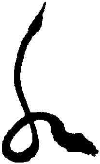 水,祝允明,書法字典